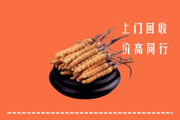 高价求购：社旗回收散虫草