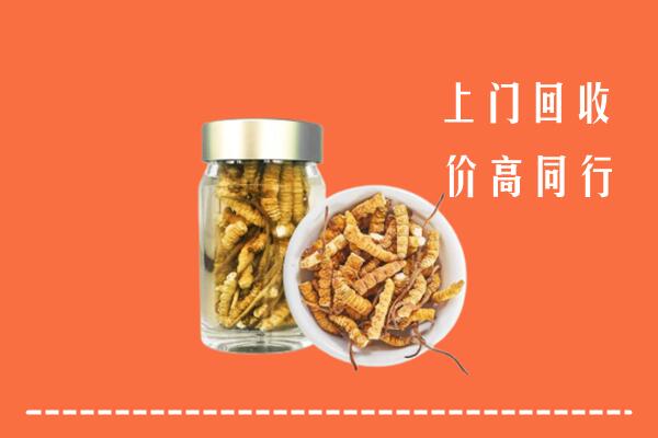 社旗高价回收冬虫夏草
