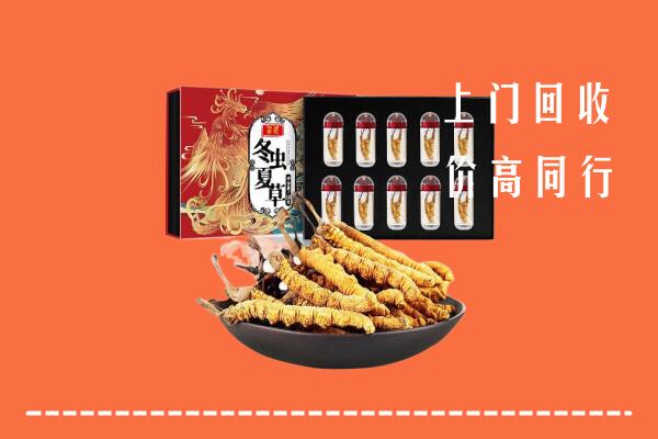 社旗回收虫草